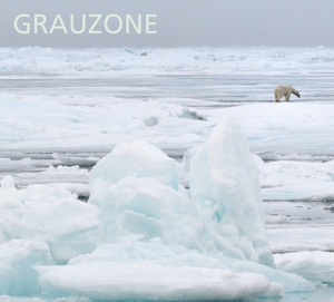 Grauzone - 1980-1982